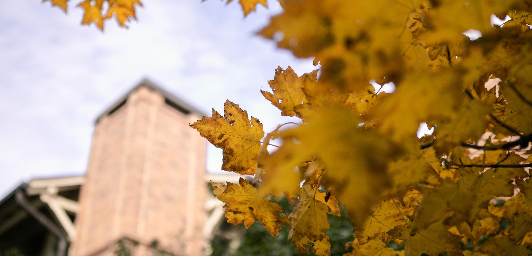 Crete Campus leaves in fall